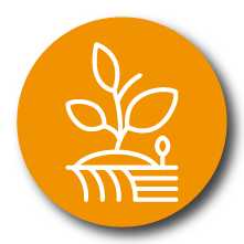 Agricultural Skills Transfer Solutions